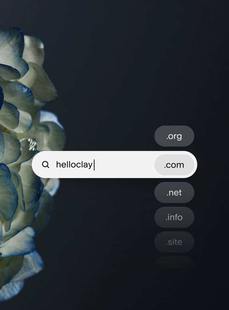 Domains